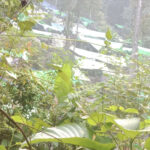 Aktivitas PETI di Bukit Ketam, APH Kemana?