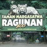 Pramono Buka Wacana Tarif Masuk Ragunan Naik Jadi Rp10.000