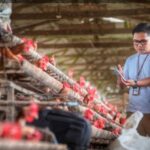Ketahanan UMKM Terjaga, Ditopang Optimisme Prospek Usaha