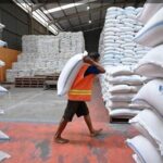 Bapanas Minta Pasokan Diperkuat, Bulog Siapkan 75 Ribu Ton Beras Premium untuk Ritel Modern