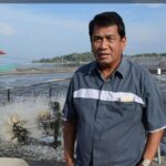 Industri Udang Indonesia Mengalami Tekanan, Pemerintah Diharapkan Turun Tangan Atasi Impor