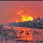 Cuma 15 Menit, Peneliti Riau Tawarkan Cara Mendapatkan Air untuk Memadamkan Gambut