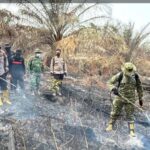 Riau Zero Karhutla, Satgas Tetap Siaga Cegah Api Kembali Muncul