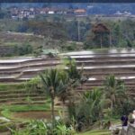 Penerimaan Pajak Bali Tembus Rp11,2 Triliun, Baru Capai 51,77 Persen dari Target 2026
