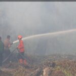 Legislator Kalbar Minta Pemerintah Lindungi Warga Terdampak Karhutla dan Relawan