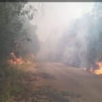 Karhutla Meluas, Ratusan Hektare Lahan di Empat Wilayah Masih Terbakar