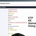 Data Pribadi Menkomdigi Meutya Hafid Diduga Bocor, Dijual Seharga Dua Ribuan