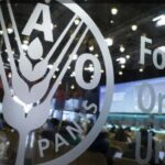 Harga Pangan Global Tertinggi dalam Empat Tahun, Logistik dan Cuaca Jadi Tekanan