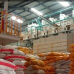 Bapanas Tambah 74,18 Ribu Ton Beras SPHP, Pasokan Berkurang Usai Panen Raya