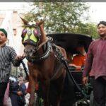 Wayang Jogja Night Carnival di Malioboro Gerakkan Perekonomian dan UMKM