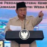 Prabowo Peringatkan Industri Nikel Soal Limbah, Air dan Udara Harus Tetap Dijaga