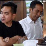 MK Tak Terima Gugatan Syarat Pendidikan Gibran, Ini Respons Jokowi