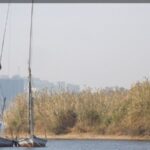 Presiden Mesir Sisi Menolak Segala Ancaman Terhadap Hak Atas Air Sungai Nil