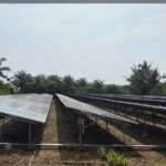 PLTS Sebatik 150 kWp Beroperasi, Energi Surya Masuk Sistem Listrik Perbatasan