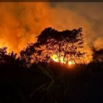 WALHI Kalbar Dukung Penguatan Penanganan Karhutla, dari Aspek Hukum dan Perlindungan Kesehatan Masyarakat