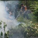 Efek Jangka Panjang Kabut Asap pada Kesehatan Manusia