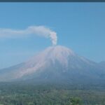 Gunung Semeru Erupsi Tiga Kali, Letusan Capai 900 Meter di Atas Puncak
