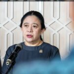 Karhutla Berdampak ke 12,5 Juta Warga, Puan Minta Perlindungan Masyarakat Diperkuat