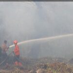 Pemerintah Targetkan Karhutla Padam Kurang dari Sebulan, Aturan Bakar Lahan Bakal Direvisi